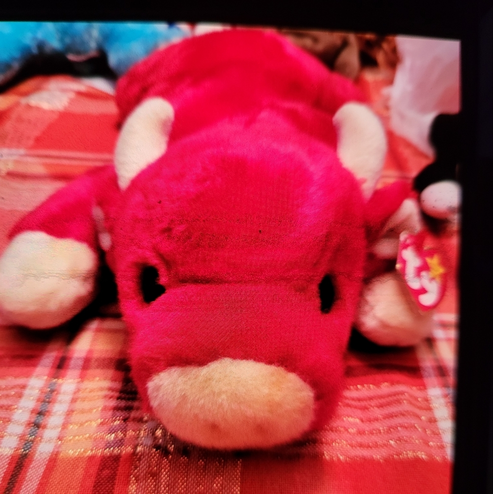 Beanie Baby SNORT  Very  " RARE" READ details